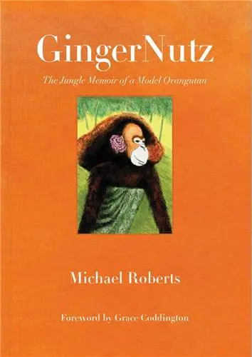 GingerNutz : Memoir of a Model Orangutan