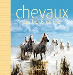 Chevaux des bords de mer