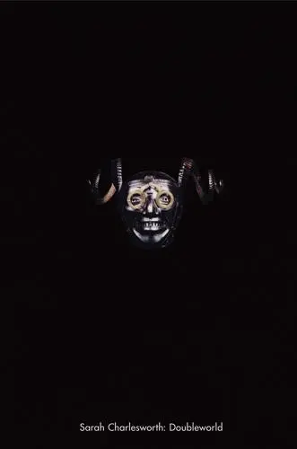 Sarah Charlesworth : Doubleworld