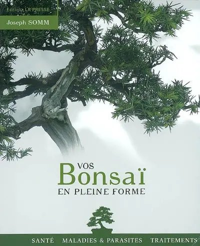 Vos bonsaï en pleine forme