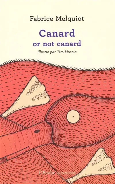 Canard or not canard