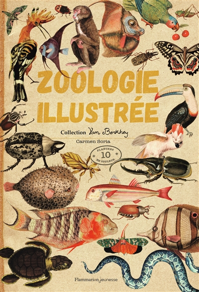 Zoologie illustrée : collection Van Berkhey