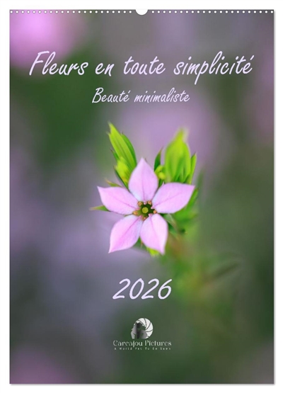 Fleurs en toute simplicité : Beauté minimaliste (Calendrier mural 2026 DIN A2 horizontal), CALVENDO calendrier mensuel : Un calendrier délicat et raffiné qui célèbre la grâce des fleurs dans leur plus pure simplicité, pour douze mois de beauté minimaliste.