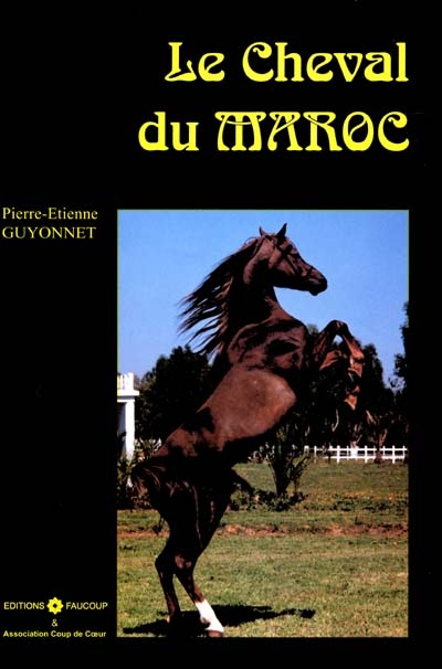 Le cheval du Maroc