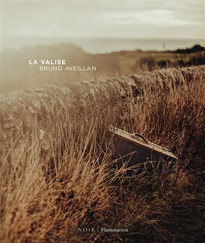 La valise