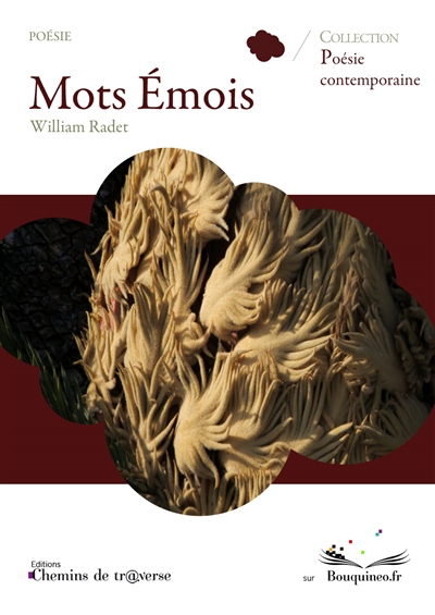 Mots Emois