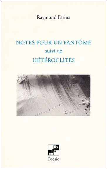Notes pour un fantôme. Hétéroclites
