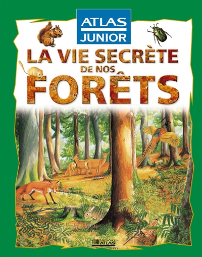 La vie secrète de la forêt