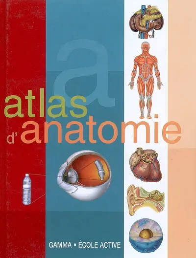 Atlas d'anatomie