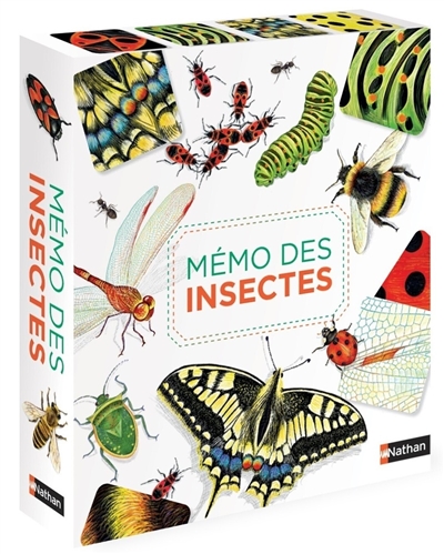 Mémo des insectes