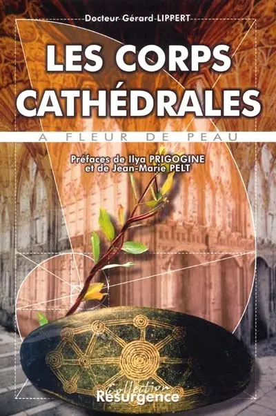 Les corps cathédrales : à fleur de peau