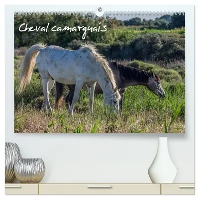 Cheval camarguais (Calendrier mural 2026 DIN A2 vertical) calendrier de bureau : La beauté du cheval semi-sauvage