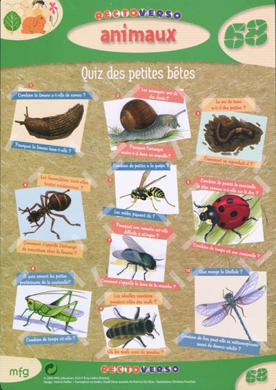 Quiz des petites bêtes