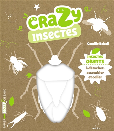 Crazy insectes