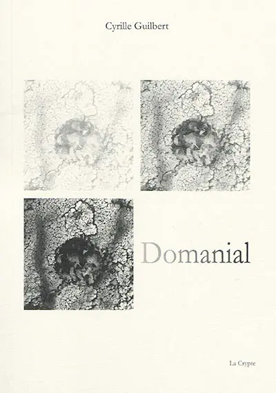 Domanial