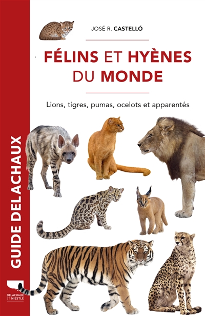 Félins et hyènes du monde : lions, tigres, pumas, ocelots et apparentés