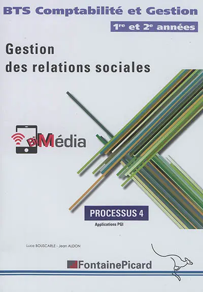 Gestion des relations sociales : BTS comptabilité et gestion, 1re et 2e années : processus 4, application PGI