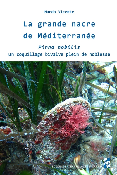 La grande nacre de...