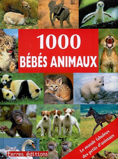 1000 bébés animaux