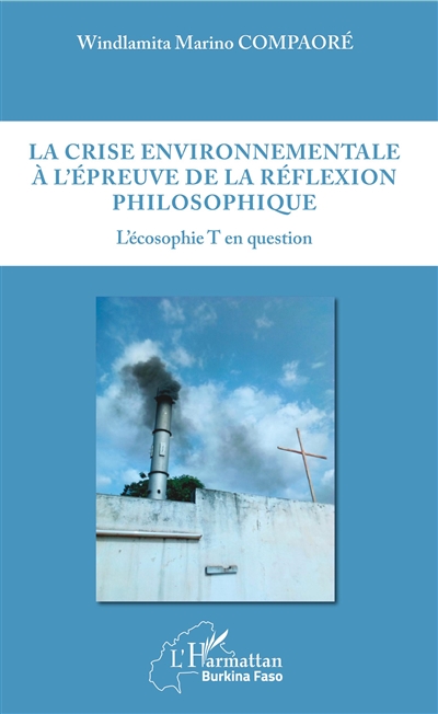 La crise environnementale à l'épreuve de la réflexion philosophique : l'écosophie T en question