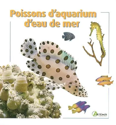 Poissons d'aquarium d'eau de mer