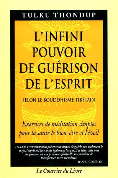 L'infini pouvoir de guérison de l'esprit : selon le bouddhisme tibétain : exercices de méditation simples pour la santé, le bien-être et l'éveil