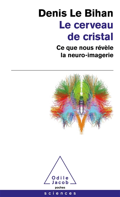 Le cerveau de cristal : ce que nous révèle la neuro-imagerie