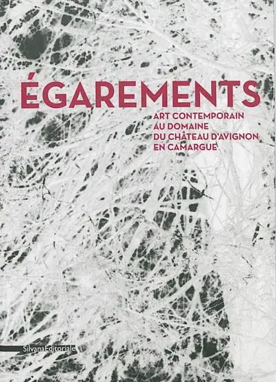 Egarements : art contemporain au Domaine du château d'Avignon en Camargue, du 15 juin au 20 octobre 2013