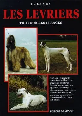 Les lévriers : tout sur les 13 races