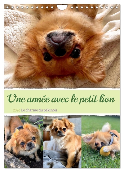 Une année avec le petit...