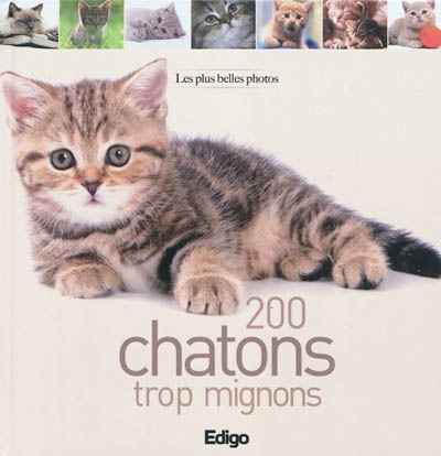 200 chatons trop mignons