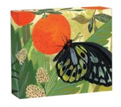 Butterflies : Quicknotes