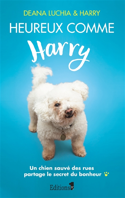Heureux comme Harry : un chien cabossé par la vie partage le secret du bonheur