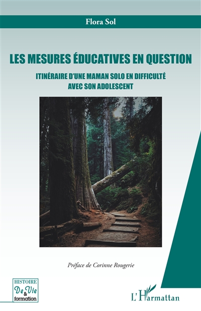 Les mesures éducatives en question : itinéraire d'une maman solo en difficulté avec son adolescent