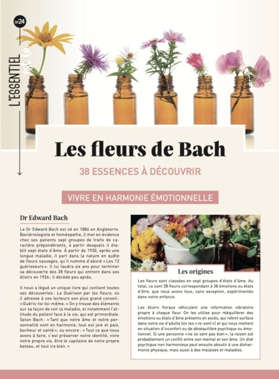 Fleurs de Bach : 38 essences à découvrir