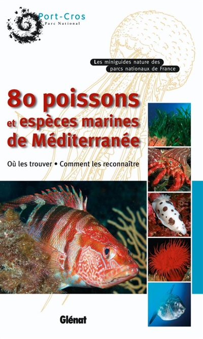 80 poissons et espèces marines de Méditerranée : où les trouver, comment les reconnaître