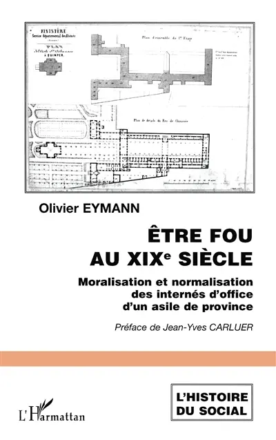 Etre fou au XIXe siècle : moralisation et normalisation des internés d'office d'un asile de province