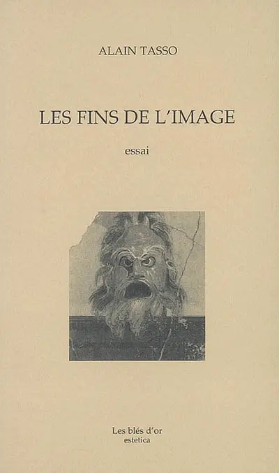 Les fins de l'image : essai