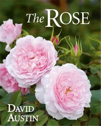 The Rose (Second Edition)