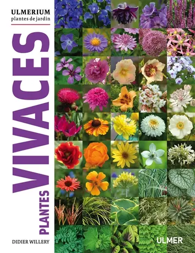 Plantes vivaces