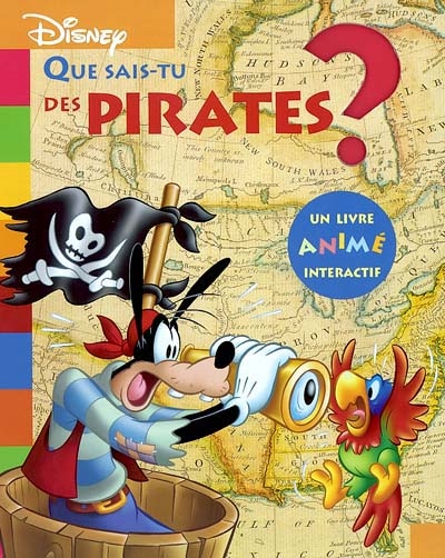 Que sais-tu des pirates ?