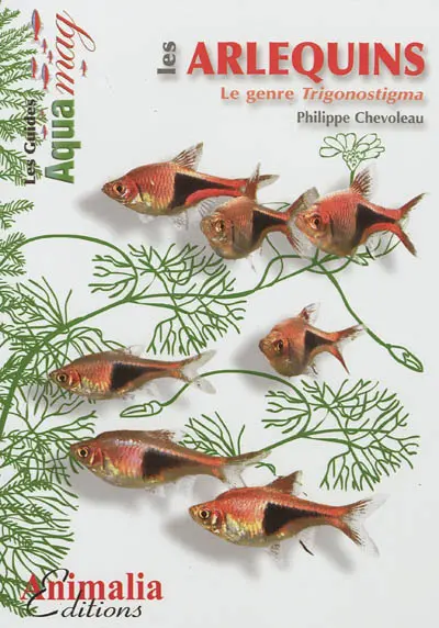 Les arlequins : le genre trigonostigma