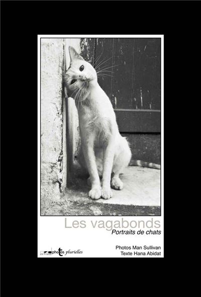 Les vagabonds : portraits de chats