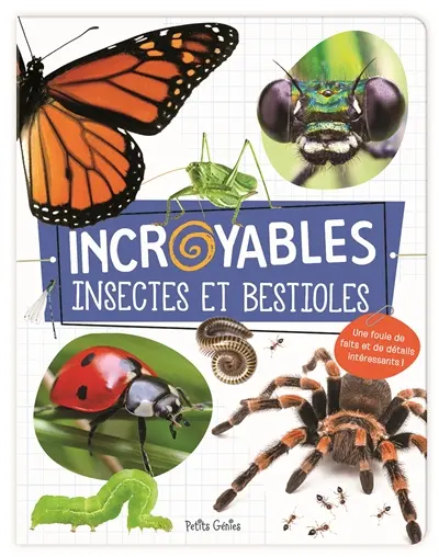 Incroyables insectes et bestioles