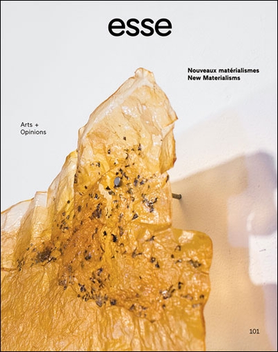 Nouveaux matérialismes no. 101