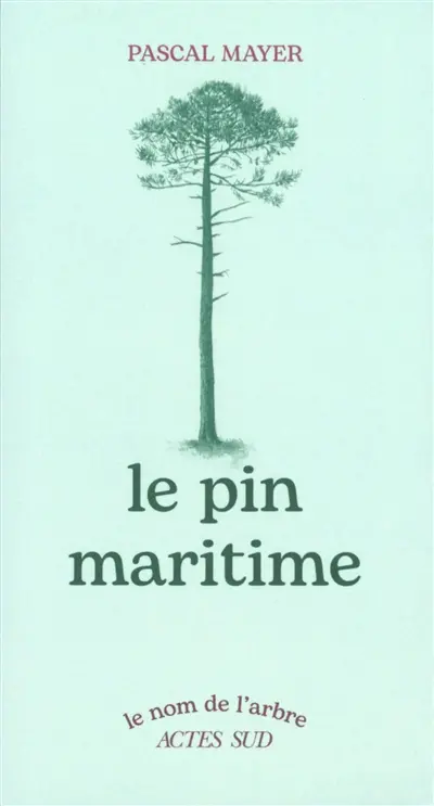 Le pin maritime