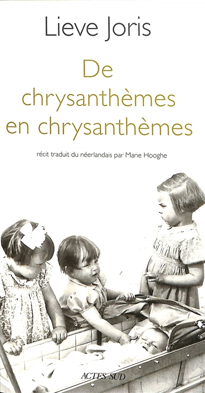 De chrysanthèmes en chrysanthèmes