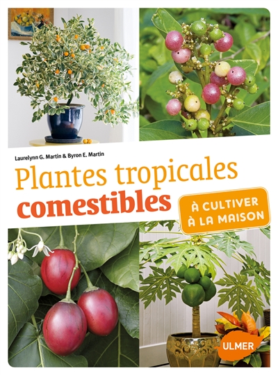 Plantes tropicales comestibles à cultiver à la maison