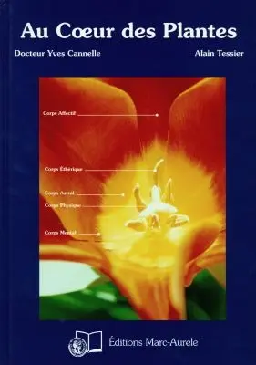 Au coeur des plantes