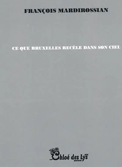 Ce que Bruxelles recèle dans son ciel